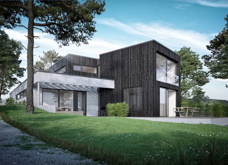 Modernes-Wohnhaus-Holzrahmenbau-Zimmerei-Wissel-05